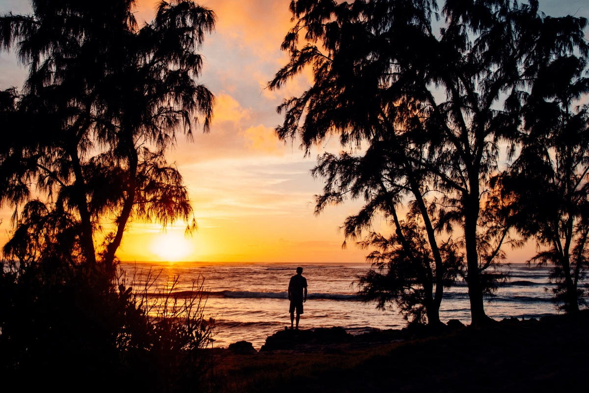 Immagine dell’articolo “Seminare fiducia nel futuro”. L’immagine raffigura una spiaggia esotica e naturale al tramonto.