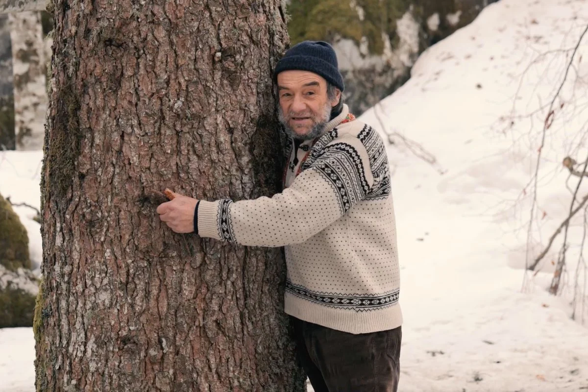 Foto articolo "Calendario Gava Imballaggi 2022: “Alberi, maestri di vita”"