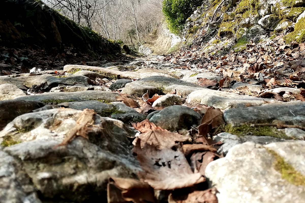 Immagine contenuta nell'articolo del calendario Gava del mese di dicembre 2023. Foto della di un sentiero tra le montagne del canevese.