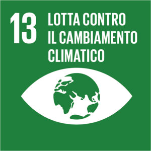 Immagine dell'obiettivo 13 - Lotta contro il cambiamento climatico dell'Agenda 2030 definita dall'Organizzazione delle Nazioni Unite