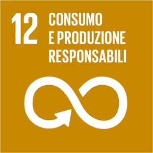 obiettivo-12-640x640-1 Immagine dell'obiettivo 12 - Consumo e produzione responsabili dell'Agenda 2030 definita dall'Organizzazione delle Nazioni Unite