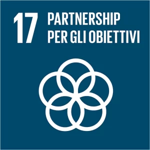 obiettivo-17-640x640-1 Immagine dell'obiettivo 17 - Partnership per gli obiettivi dell'Agenda 2030 definita dall'Organizzazione delle Nazioni Unite