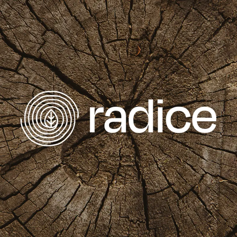 radice